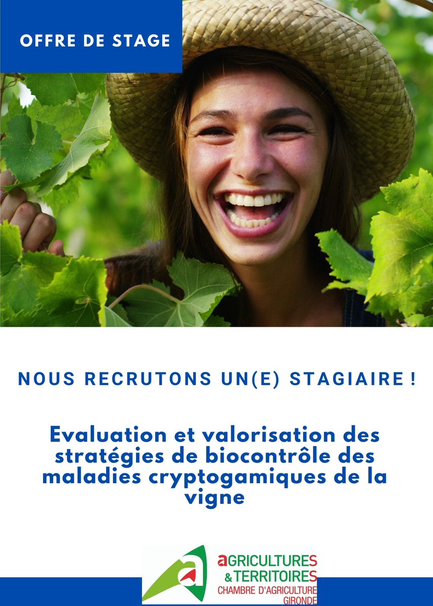 [RECRUTEMENT] L'équipe Expérimentation Protection du Vignoble de la Chambre d'Agriculture recherche un(e) stagiaire. Sa mission : évaluer et valoriser des stratégies de biocontrôle des maladies cryptogamiques de la vigne. 👉 Détail de l'offre sur cutt.ly/egyqhIS