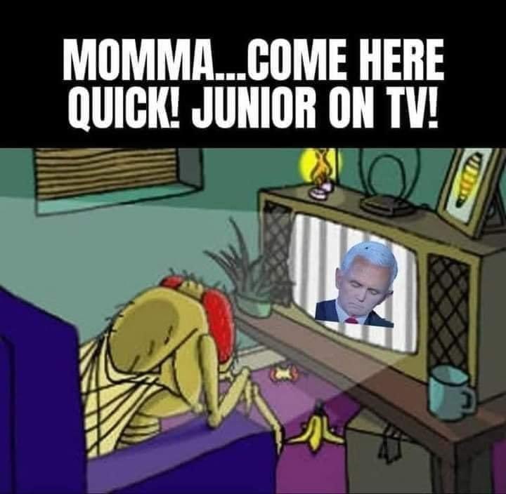 Critical Thinker (@nodogma1) on Twitter photo 