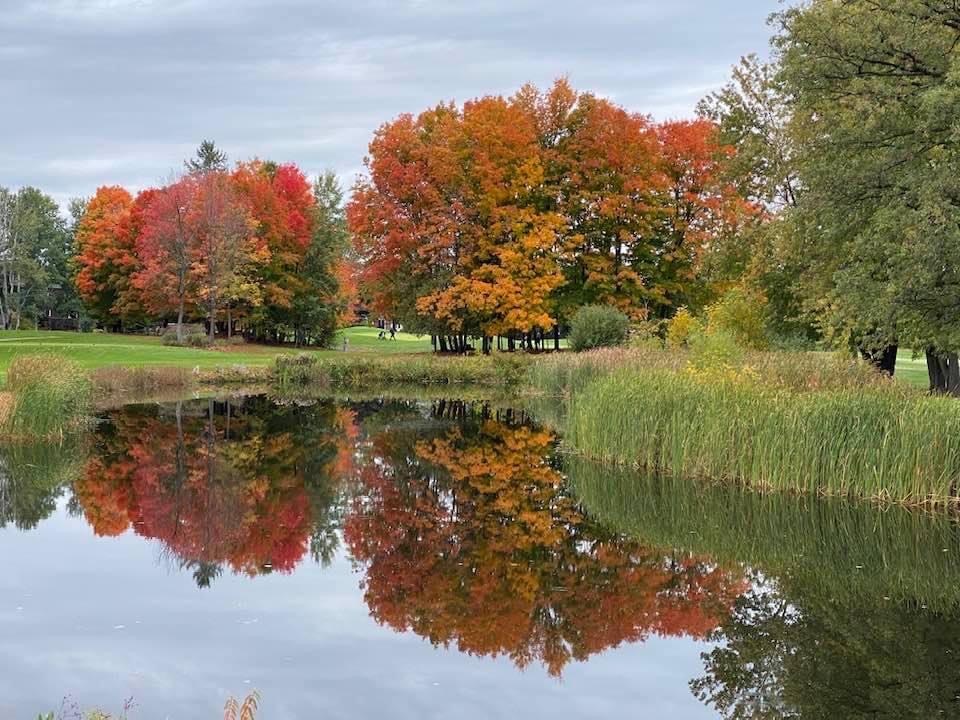 It’s time developers. like <a href="/MintoCommOttawa/">Minto Communities Ottawa</a> &amp; <a href="/RichcraftGroup/">Richcraft Homes</a>, realize that people want urban green spaces, not more concrete. It's not just about stopping <a href="/clublink/">CLUBLINK</a>; it's about saving GREENSPACE. The <a href="/ottawacity/">City of Ottawa</a> official plan should protect greenspace. ourkanatagreenspace.ca/the-message-is…