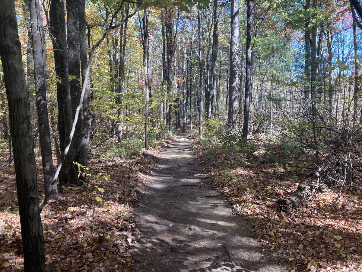 PembrokeFieldOp's tweet photo. Prepping for tomorrow’s XC race out here on the trails. Beautiful day! #FieldOps #FacilityFriday https://t.co/xk3ZRcVXHW