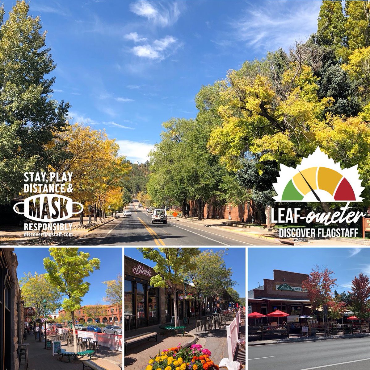 DiscoverFlg's tweet photo. Keeping up the #LEAFometer can be hard work when trees within a block radius are showing different shades of color. Help us show up-to-date northern Arizona color by tagging your current photos with #LEAFometer. 🍃🍂🍁 https://t.co/OtL5BetlXP