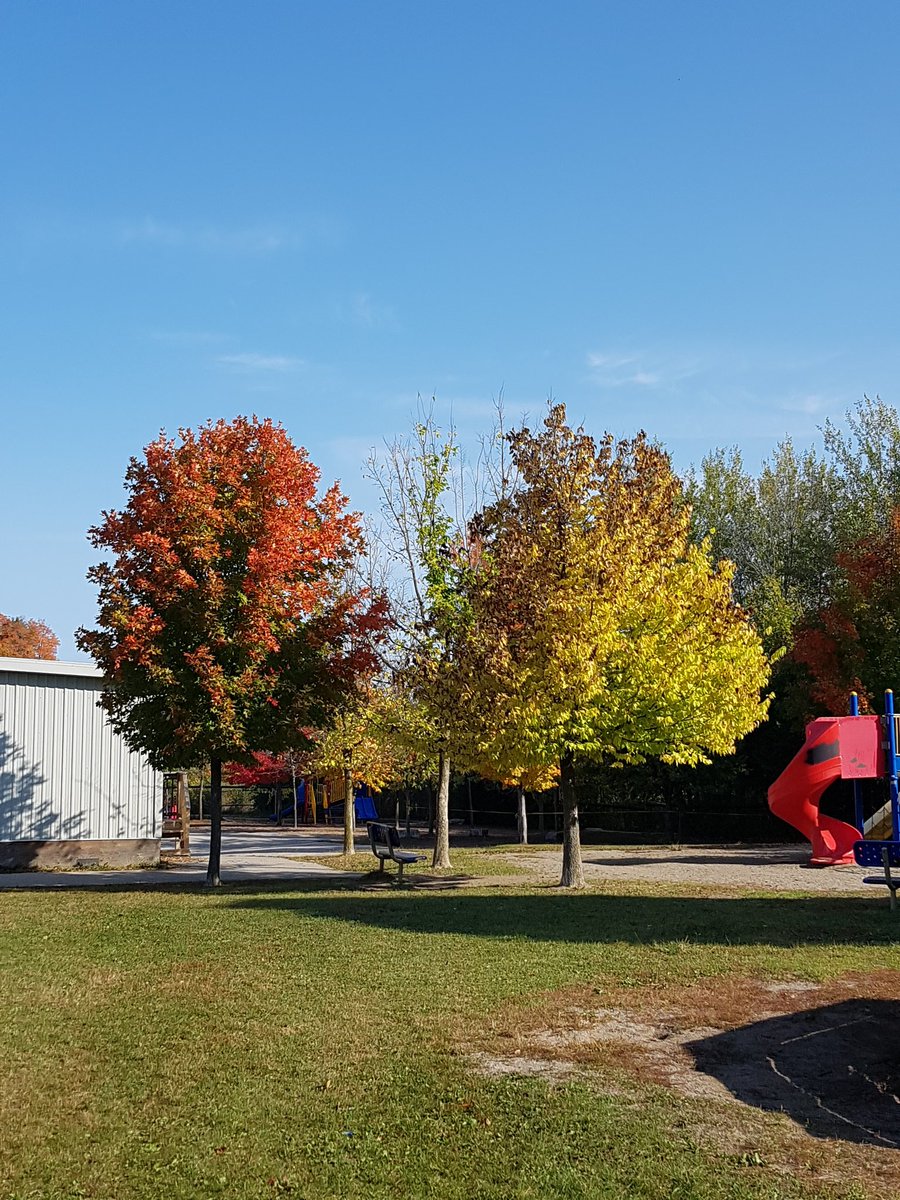 Ms. Nichols tweet media