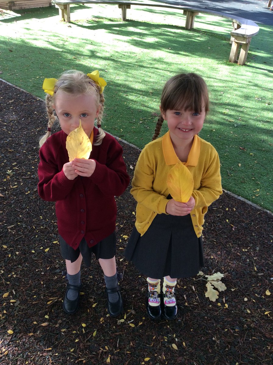 FRISroom3's tweet image. Fun in the sun #eyfsfun