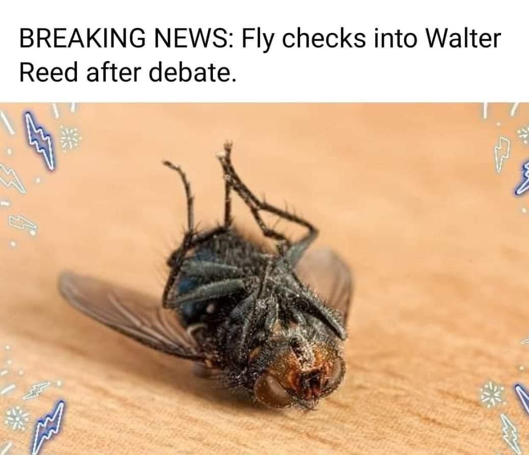 Pence Fly tweet media