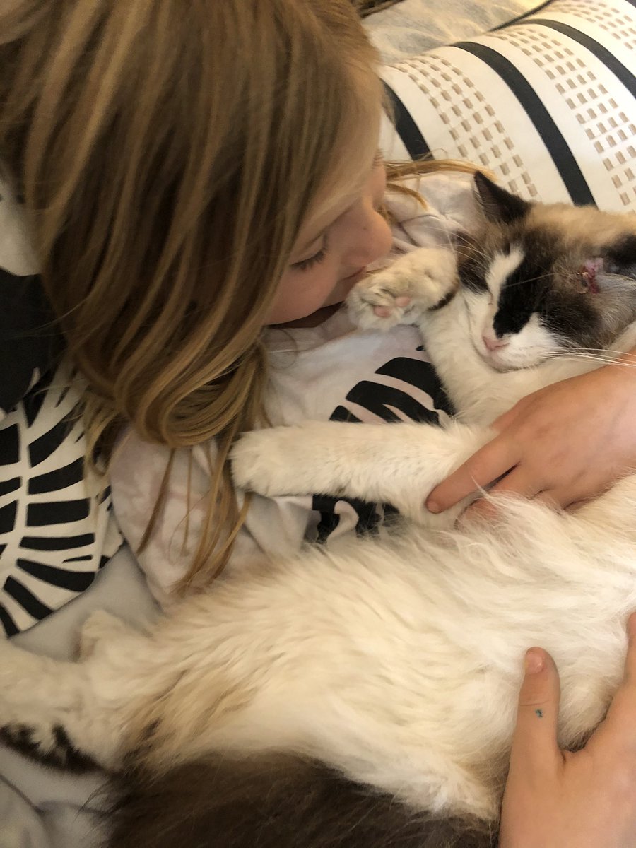 Rah_Lano's tweet photo. @Jencling @mtosterholm @CIDRAP Mila and Mama Kitty!  The day we were reunited with kitty was the happiest that I’ve seen Mila since the fires....and, Kitty hasn’t stopped purring. #CZULightningComplex https://t.co/0xy2dMJLNa