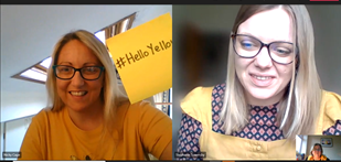 NickysDesk's tweet photo. Thanks all for taking up the #HelloYellow challenge for @YoungMindsUK at our meeting today, only managed to capture these two yellow perils but thanks all @DofENorth https://t.co/huXcLOjXMg