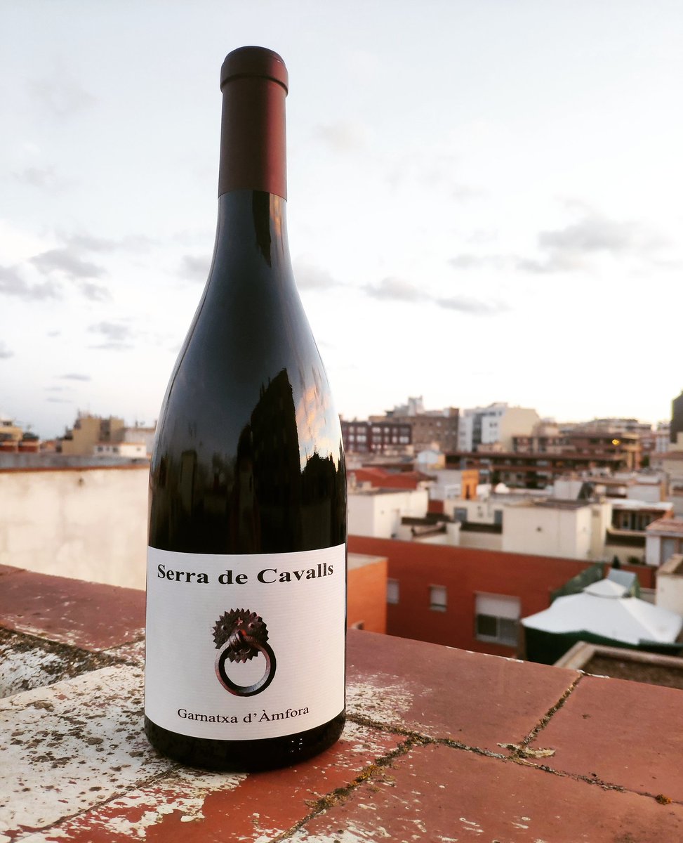 Qualsevol moment és bo per gaudir d'una copa de vi 🍷 Bon pont a tots! 😊
-
Cualquier momento es bueno para disfrutar de una copa de vino 🍷¡Buen  puente a todos! 😊
-
#vi #vino #botellavi #botellavino #vistes #vistesciutat #vistas #vistasciudad #viamfora #vinoanfora #amfora