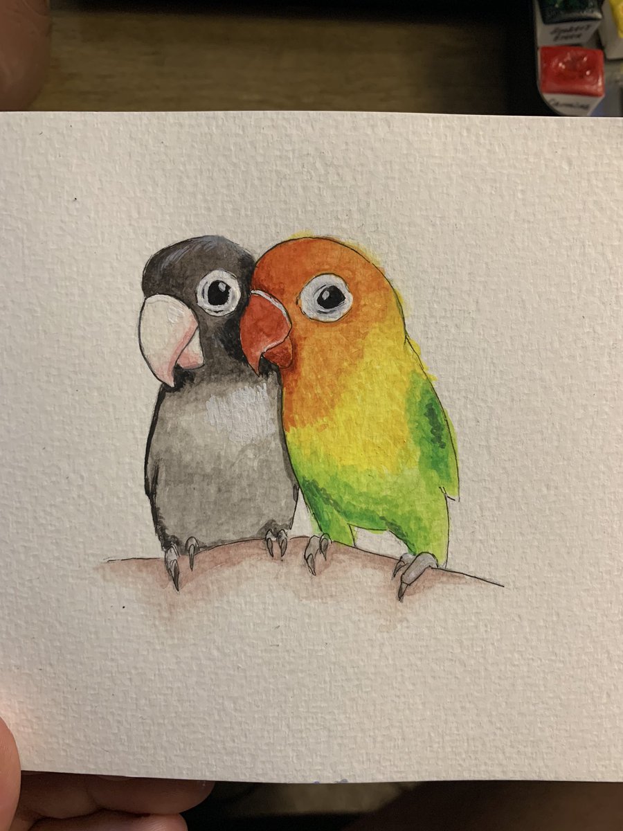 Days 7 and 8 for #WildOctoberArt 
Misunderstood and Animals in Love
#art #painting #watercolor #nature