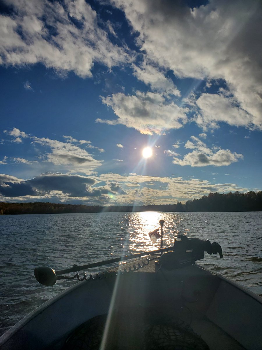 Managed to find one active #musky yesterday 🙂 #getoutdoors #cottagelife