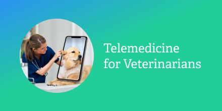 Veterinarians are practicing better veterinary care with #Mediciapp, freeing up their phone lines and streamlining check-in and treatment for their staff and pet parents. Learn how at hubs.ly/H0xjvyW0.

#telehealth #healthIT #bettertelemedicine #medicimd #bettermedicine