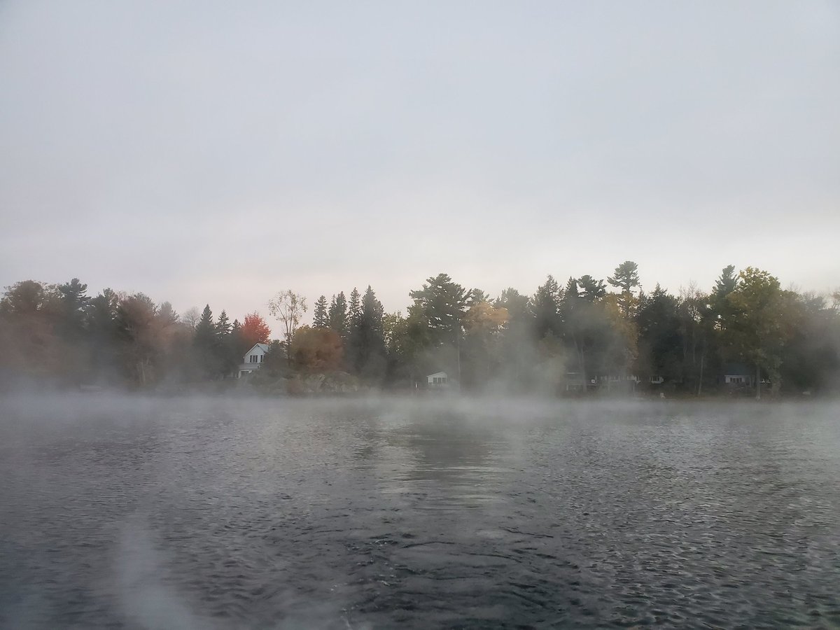 -3 this morning and fog didn't lift until 10am. I was still out at 7 casting a few spots. #cottagelife #getoutdoors #muskyfishing