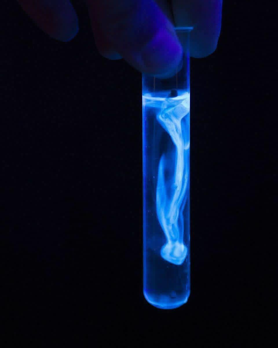 LabMed2016's tweet image. خمسة تحاليل يجب ان تكون فيها العينه بعيدة عن الضوء المباشر: -
• Beta-carotene 
• Bilirubin 
• Porphyrins 
• Vitamin A 
• Vitamin B6