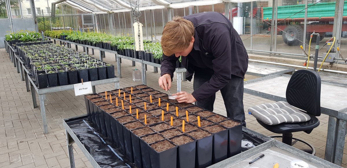 PRoKlima tweet media