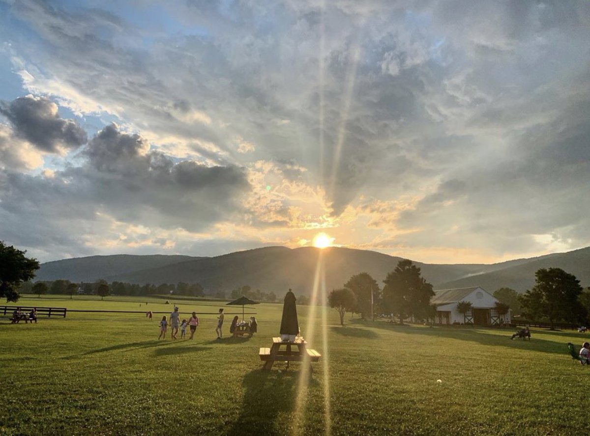 roselandpolo tweet media