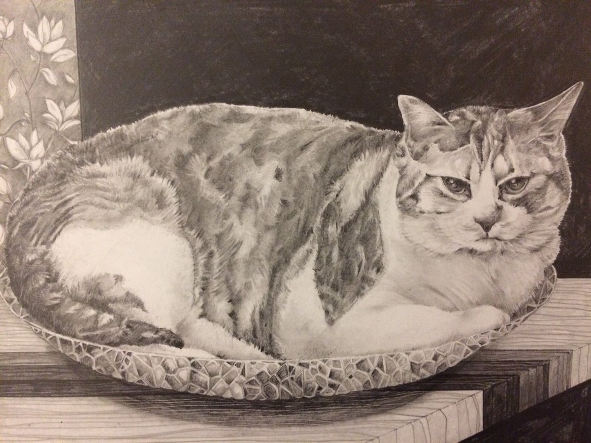 PoMoArts (Port Moody Arts Centre) (@pomoarts) on Twitter photo Calling all teen doodlers, sketch artists, and margin drawers!
We still have space in our Love of Drawing course focused on encouraging teens to develop their own artistic style.
Register now: pomoarts.asapconnected.com/#CourseID=2307…
<a href="/sd43bc/">School District 43</a> Calling all teen doodlers, sketch artists, and margin drawers!
We still have space in our Love of Drawing course focused on encouraging teens to develop their own artistic style.
Register now: pomoarts.asapconnected.com/#CourseID=2307…
<a href="/sd43bc/">School District 43</a>