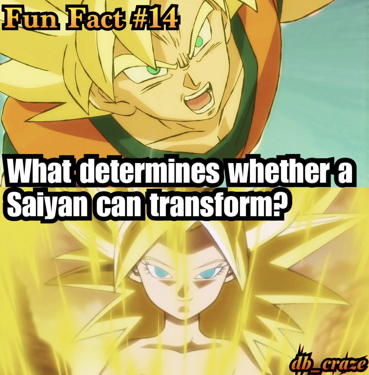 32 Fun Facts About the Dragon Ball Z Series