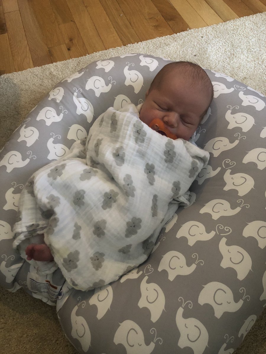 eerrush's tweet image. How it started vs how’s it going 💙