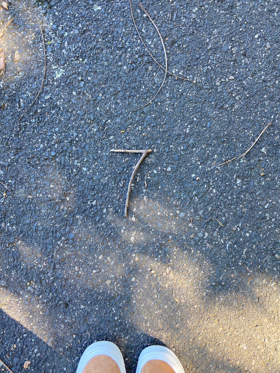 HopedaleLax's tweet image. #NotRandom