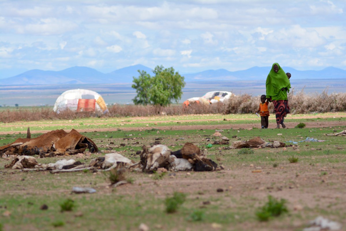 NORCAPweb's tweet photo. If governments fail to halve global emissions by 2030, livelihoods will be shattered and millions of humans displaced. The Norwegian government @Regjeringen is steering towards cutting less than half their #ParisAgreement emissions target. We strongly urge them to pick up pace. https://t.co/XU20108MR8