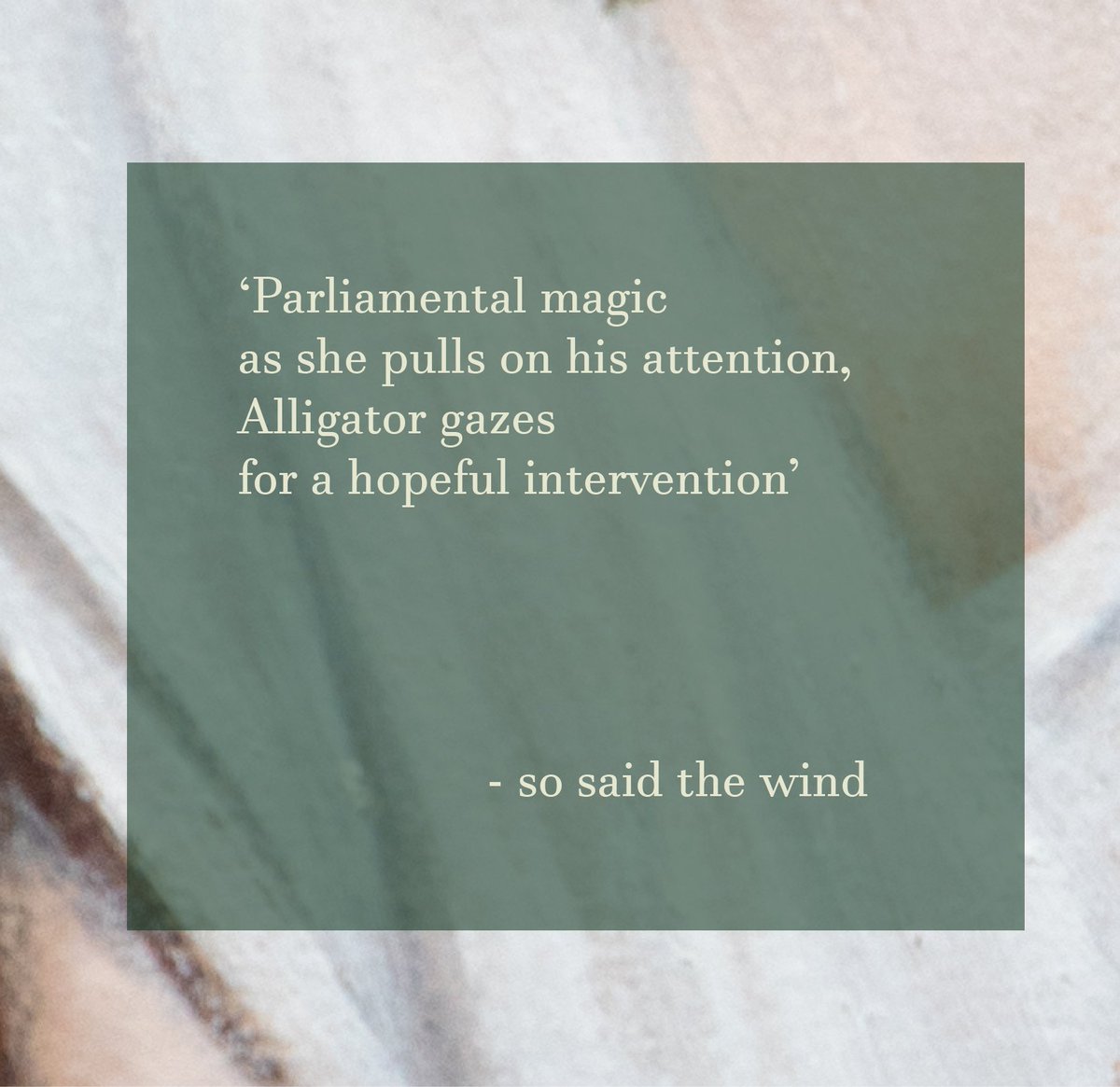 so said the wind (@sosaidthewind) on Twitter photo 