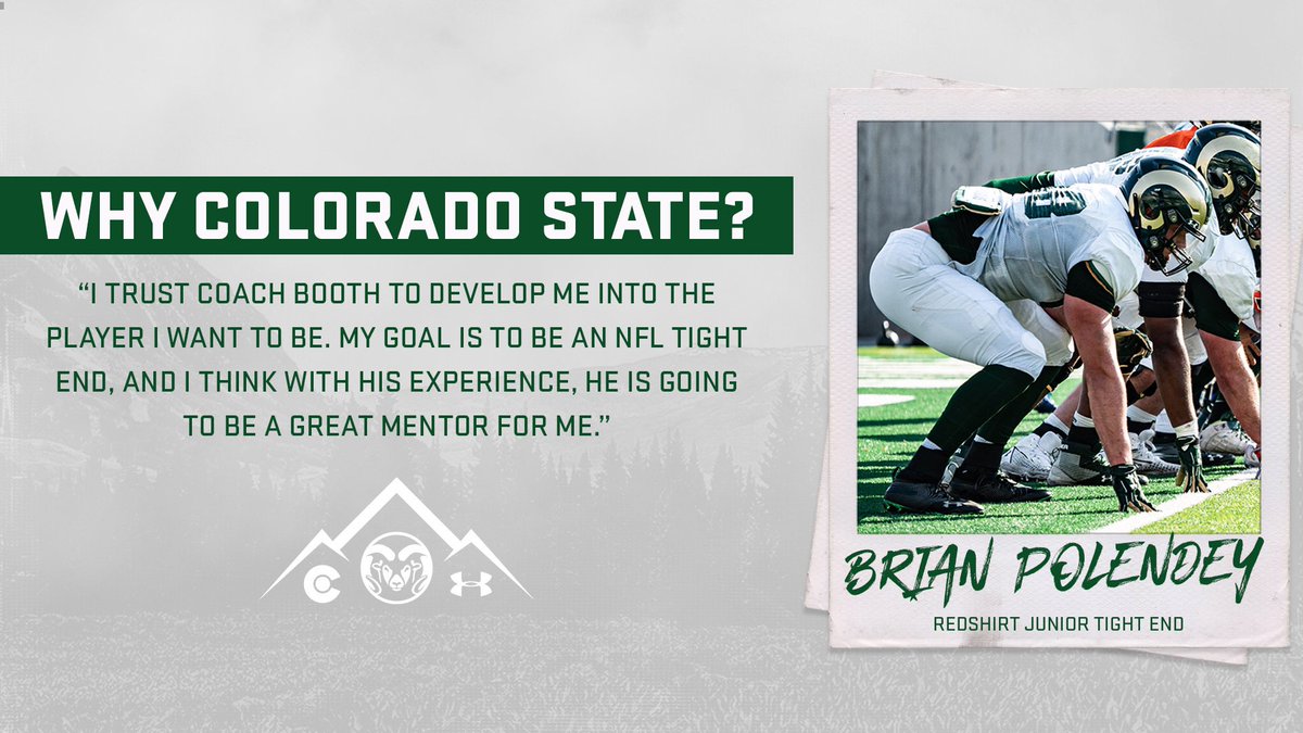 Hayden Wall tweet media