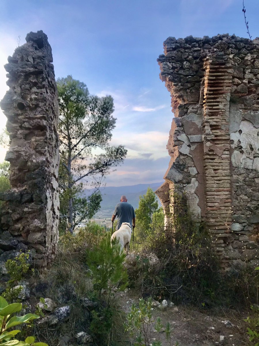 cal_boutique's tweet photo. The Walking Heads. Since 12th March we’ve not travelled more than 50kms from our home in Falset and nearly everyday we find somewhere new.#walkingheads #walking https://t.co/Tvsxa7mC30
