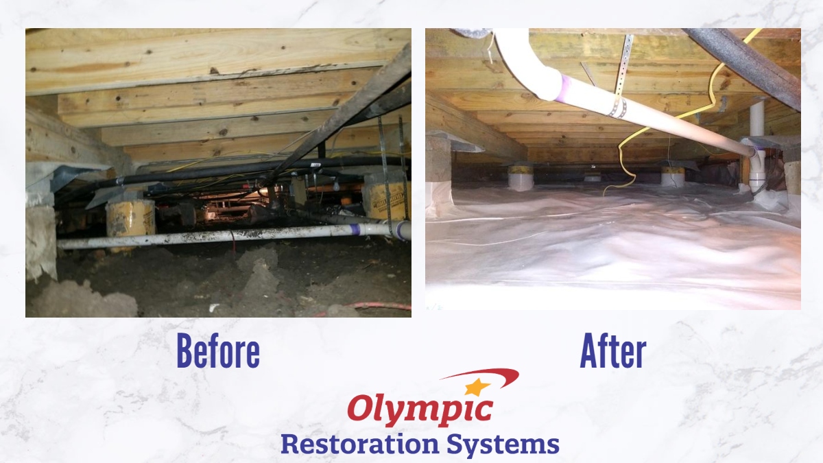 If your crawl space has mold, dust mites, and other contaminants in it, so does the rest of your home. You breathe your crawl space air, like it or not. We would love to encapsulate your crawl space to improve the air quality throughout your entire home!
olympicrestoration.com