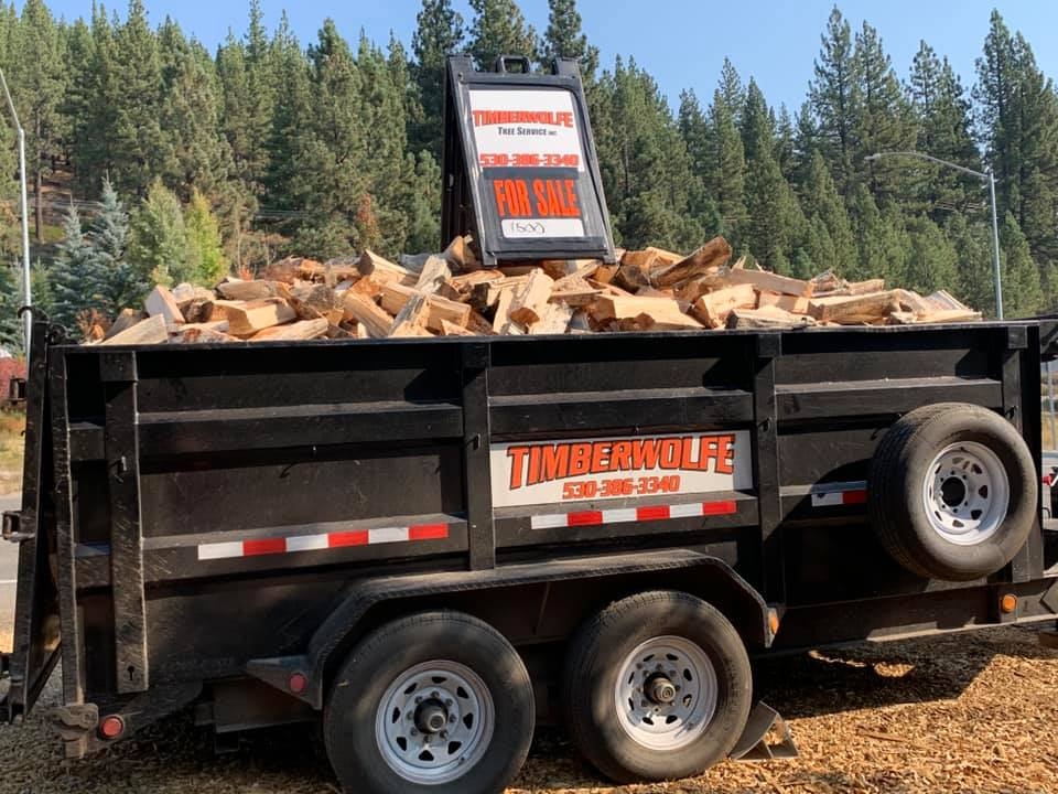 We're making it easy to prepare for winter. 2 1/2 cords of mixed pine for $500. FREE delivery in Truckee. We answer the phone 7-days a week. Call us at (530) 386-3340
#Truckee #LakeTahoe #DonnerLake #TahoeDonner #TimberwolfeTreeService https://t.co/eZUNFoje6x