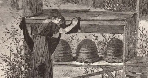 This generally entailed draping each hive with black crepe or some other “shred of black.” It was required that the sad news be delivered to each hive individually, by knocking once and then verbally relaying the tale of sorrow.
