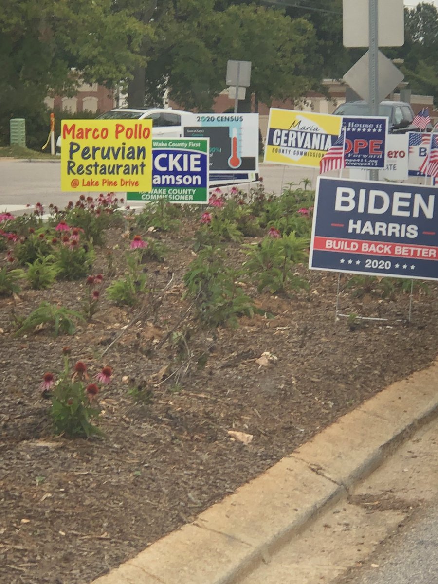 JulieHenry's tweet photo. Who says we don’t have choices? #vote2020 https://t.co/mYTwwizOYC