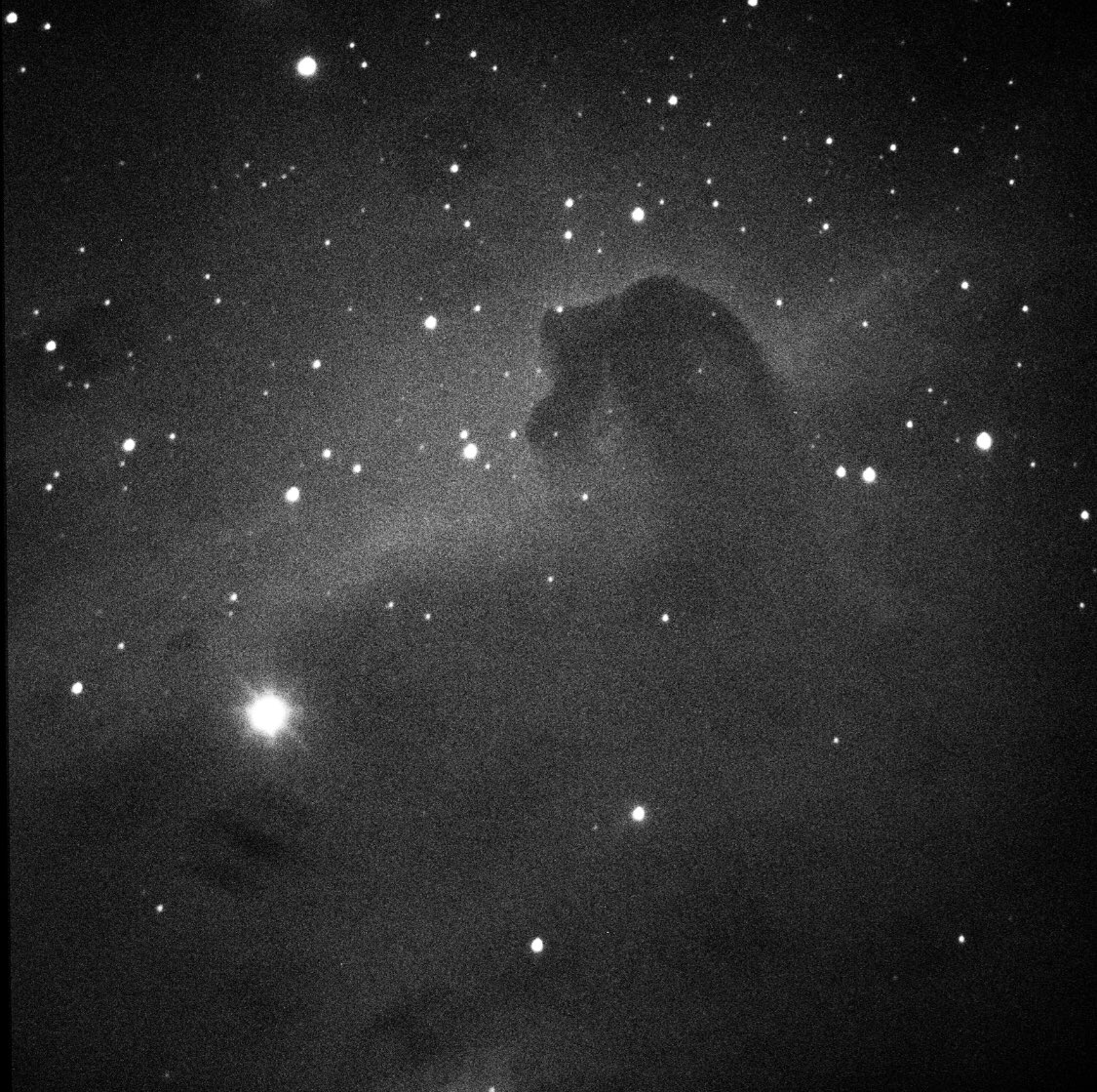 Tried my first attempt (from home) at the Horsehead Nebula in Orion. This was a lot fainter than I expected, though it was rising over the city (directly).Gotta try this from darker skies I think ... (And good grief, the dust critters are back - needs a clean!) 4/n