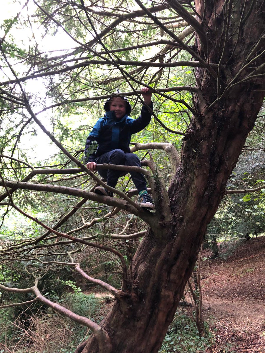 The bigger child said 'nature is boring' on the way in to @BasildonParkNT Yeah sure, child, looks like you really hated it. #EveryoneNeedsNature