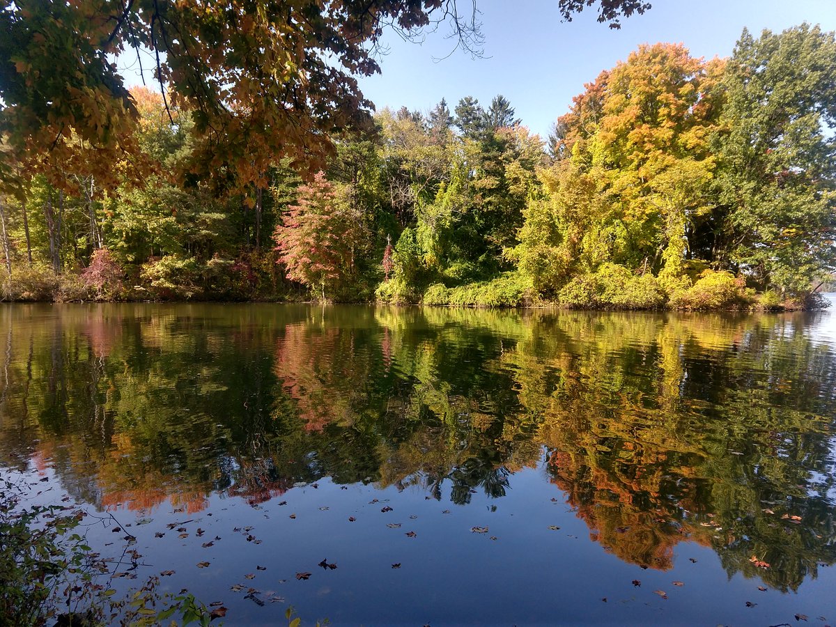 Day 207: just to demonstrate that not everything is a shit show, the weather was perfect today & I had this trail all to myself during my run. You could hear the birds chirping and acorns dropping like pebbles.