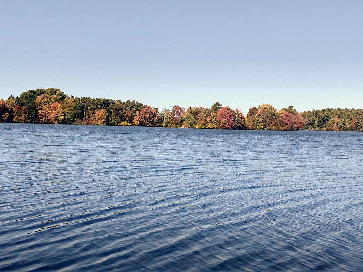 Day 207: just to demonstrate that not everything is a shit show, the weather was perfect today & I had this trail all to myself during my run. You could hear the birds chirping and acorns dropping like pebbles.
