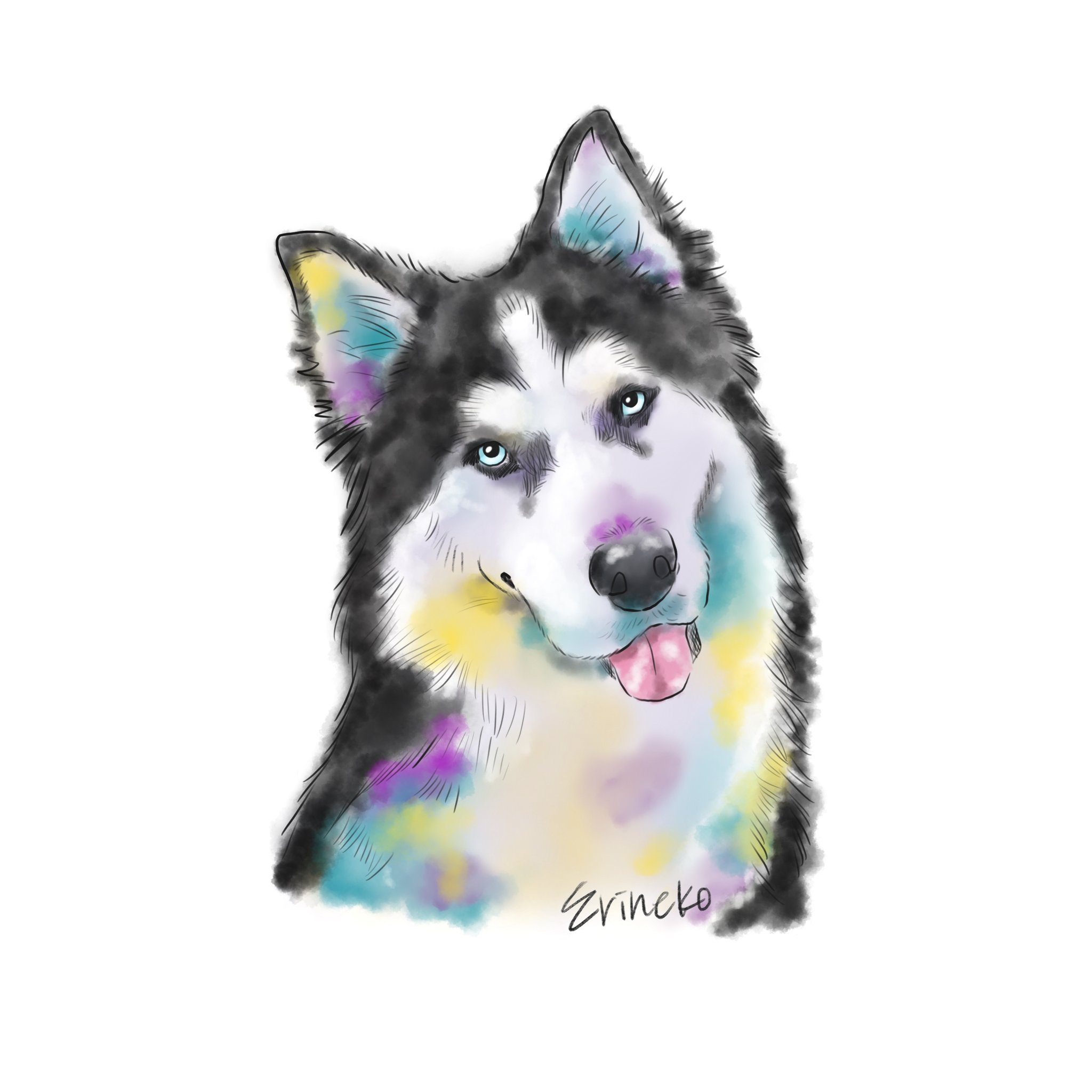 Erinekoペットの似顔絵 Webデザイン シベリアンハスキーを描きました この神秘に満ちた目がカッコよくて大好きです ブラックも入れてかっこいい雰囲気に仕上げました イラスト好きな人と繋がりたい イラスト好きさんと繋がりたい イラスト