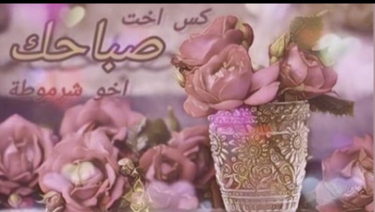 رياكشن كس اخت صباحك اخو شرموطه