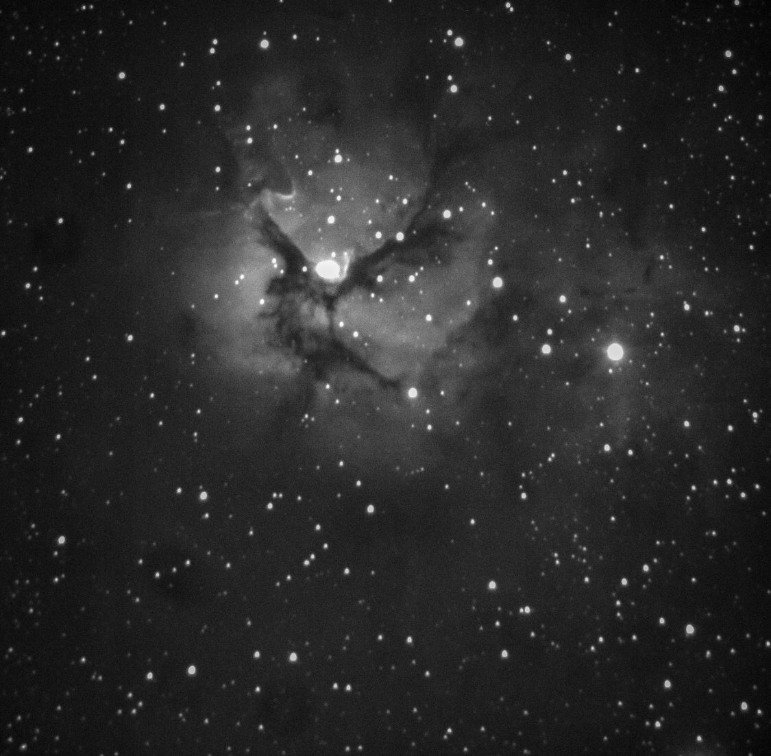 Lastly for the images, the Trifid Nebula ... or as I like to call it, tje Boogy Man Nebula ....Will miss seeing the Scorpius-Sagittarius nebulae as the begin to set in the west ...10/n