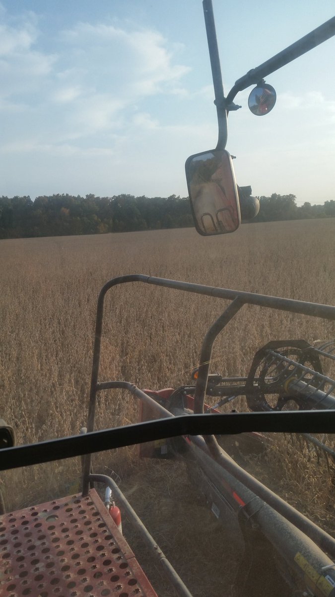 probstjake5's tweet image. Last 60 ac of 2020 soybean. Then on to the kern. #probstboyz #letsgettwisted