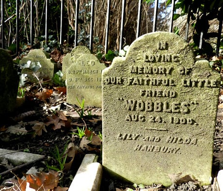 In the event that a beloved family pet passed, people of the era also held elaborate ceremonies for the deceased animals, particularly dogs. Despite class and wealth, families conducted dog funerals in the honor of their lost canine friends.