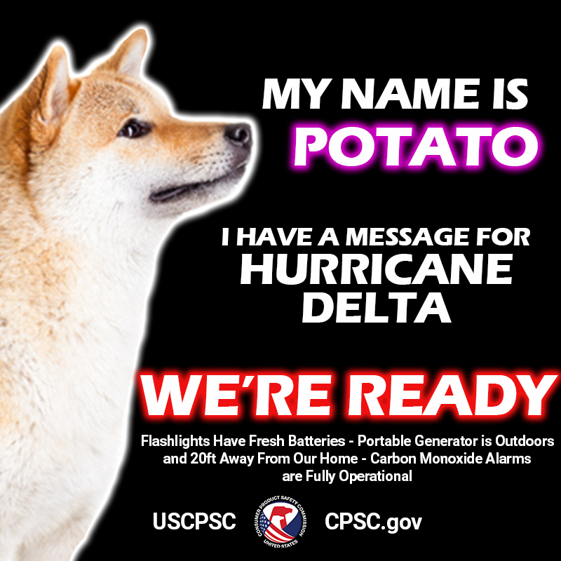 A dog named potato. The text reads: My name is potato. I have a message for Hurricane Delta. We're ready. Flashlights have fresh batteries. Portable generator is outdoors and 20ft away from our home. Carbon monoxide alarms are fully operational.