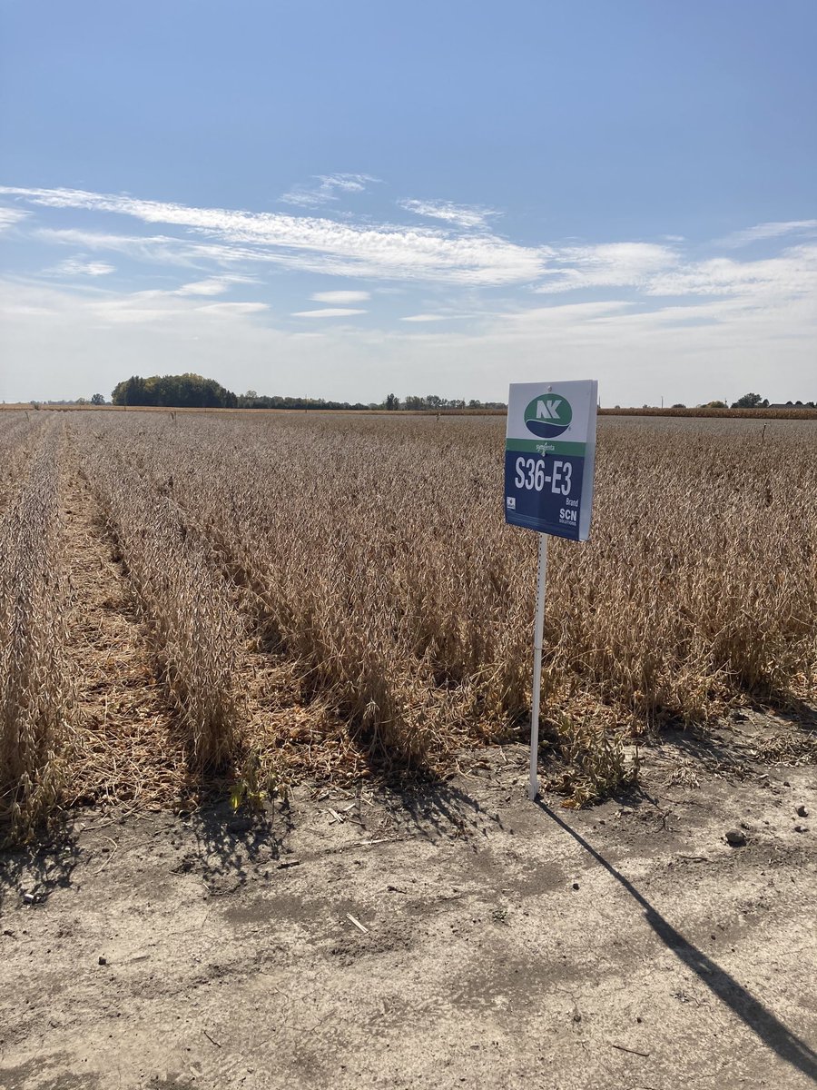 riehltimeagronomy tweet media