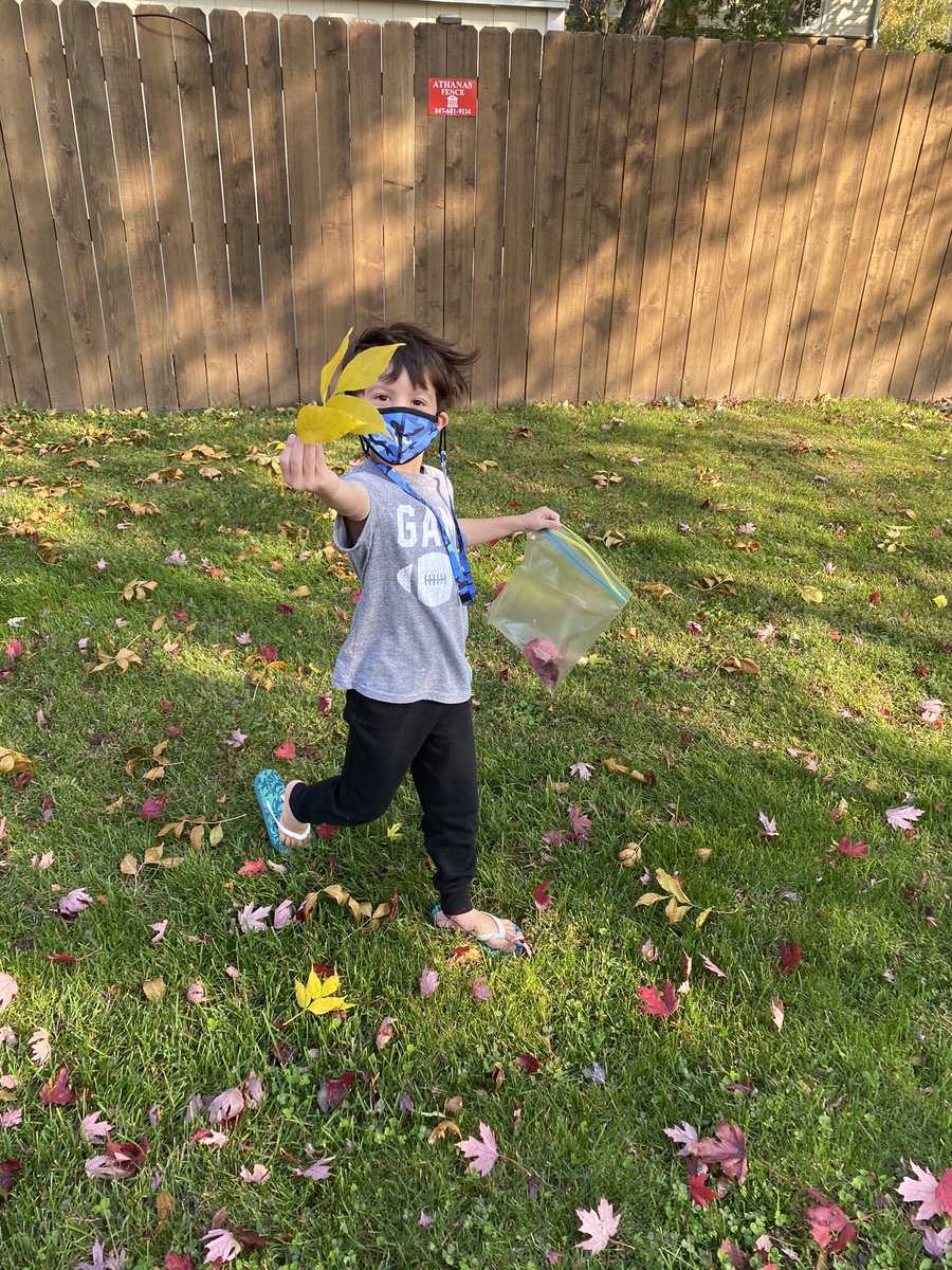 So fun going on a leaf hunt with my kindergarten friends today! #engage109 #sp109 #iteachk