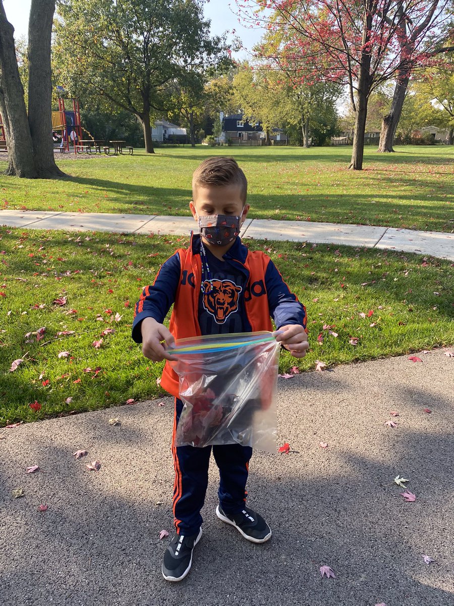 MrsPitaro109's tweet photo. So fun going on a leaf hunt with my kindergarten friends today! #engage109 #sp109 #iteachk https://t.co/nxMz8x85ys