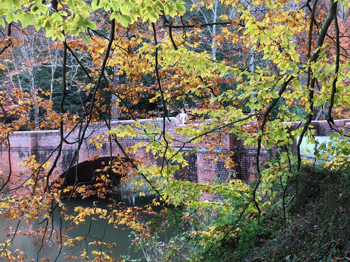 It’s fall break, time to enjoy the autumn beauty that is the Smoky Mountains. I hope my #DFL friends have a relaxing and rejuvenating break. #KCSLMSFallIntoTheLibrary