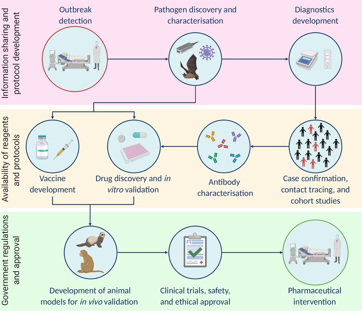 Bea (@bealro_) on Twitter photo In our <a href="/PLOSPathogens/">PLOS Pathogens</a> review we (ESRs from <a href="/HonoursI/">HONOURs-ITN</a>) give an accessible overview of the research and development challenges commonly faced upon the emergence of a novel pathogen, using as example the current #SARSCoV2 outbreak response.
Check it out!👉journals.plos.org/plospathogens/… In our <a href="/PLOSPathogens/">PLOS Pathogens</a> review we (ESRs from <a href="/HonoursI/">HONOURs-ITN</a>) give an accessible overview of the research and development challenges commonly faced upon the emergence of a novel pathogen, using as example the current #SARSCoV2 outbreak response.
Check it out!👉journals.plos.org/plospathogens/…