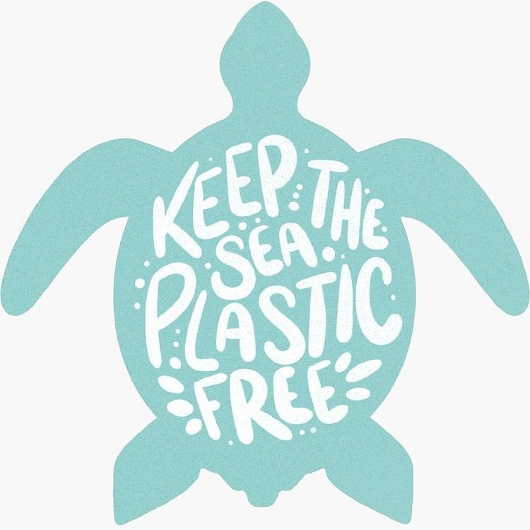 PakistanElf's tweet photo. "The United Nations Environment Programme estimates there could be as many as 51 trillion microplastic particles in the oceans already." Let's make our sea plastic free by switching to alternatives of plastic! 

#plasticpollution
#plasticfreeseas
#plasticfreeoceans #plasticfree https://t.co/o3GEN6TL4R