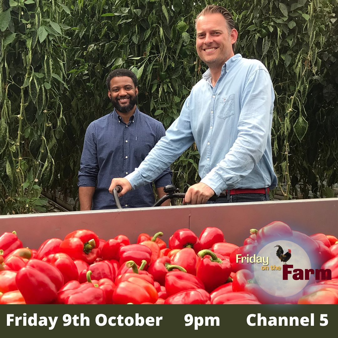 90 minutes and counting!! The pepper greenhouse at Thanet Earth features on tonight's Friday on the Farm with <a href="/JBGill/">JB Gill</a> . Channel 5, 9pm. #UKfarming #foodheroes #pepperpower