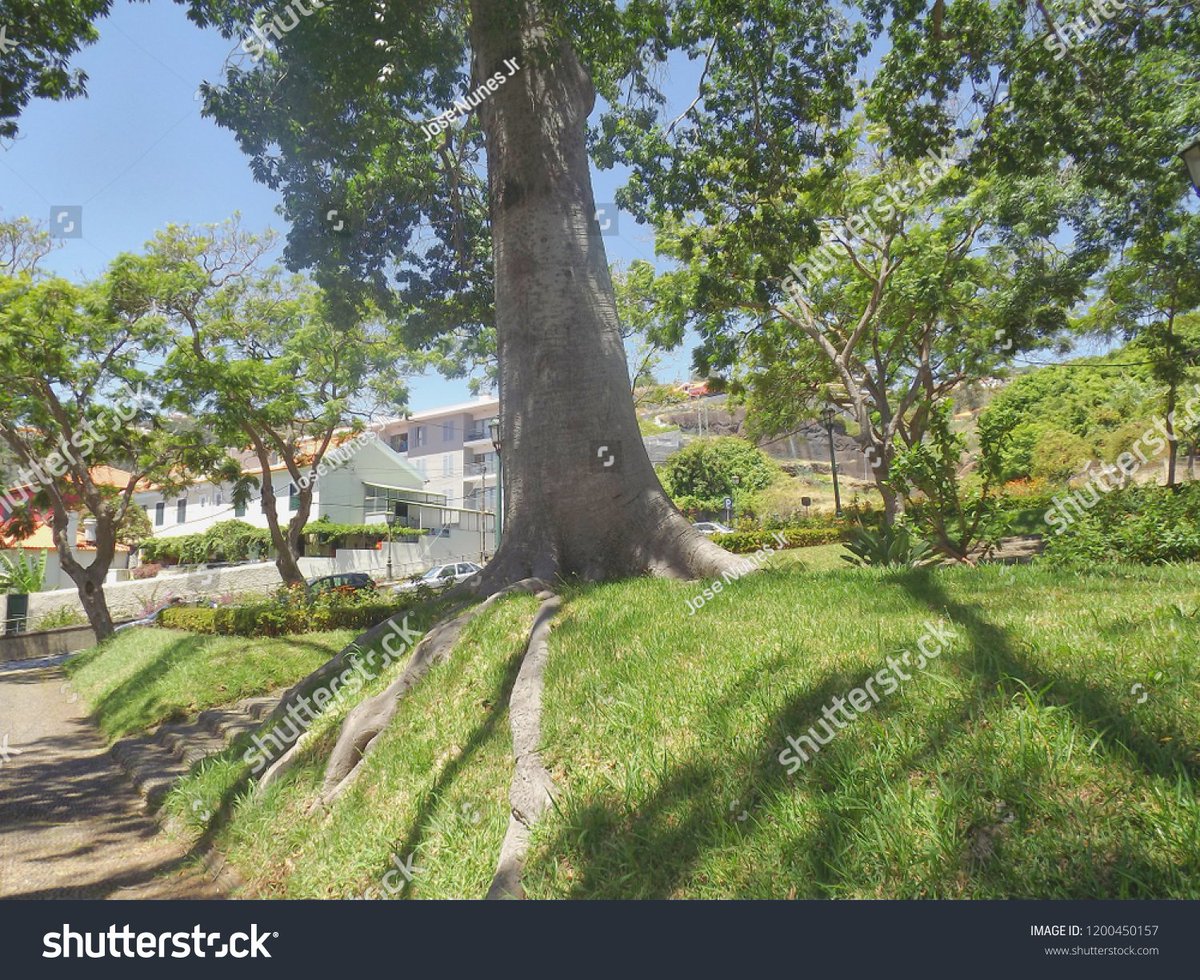 moments20i's tweet photo. https://t.co/xIyBtoIOZr
.
.
.
.
#Beautiful #green #Clouds #Plants #travel #Rock #park #Photography #picoftheday
#tree #fotografia #photography #foto #photo #photooftheday #nature #Red #like #fotos #follow #photoshoot #natureza #pictures #SquareSquare #shutterstock https://t.co/4kpI9L1Ajk