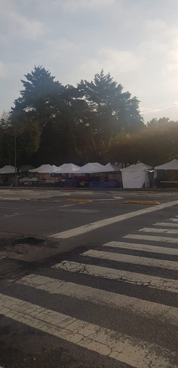 5antaMerlina's tweet photo. @Foro_TV Así nos tienen, mucho póster de "Por salud 😷 llévalo puesto" y puestos ambulantes es lo que sobran @estarc62   @AlcCuauhtemocMx @SeGobCDMX @nenulo @JASRA1 @Claudiashein 
Zona panteón francés @BsAsDres, @patriciamercado atendió denuncias, de nuevo el desorden y riesgo peatonal. https://t.co/dw0Cj6NOZM