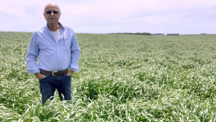 agromil_ltda's tweet photo. Semillero #Raigras Santa Adelaida LP 296, con #BayerCripton Coadyuvante usado con Cripton fue #Silwet
📍Vichadero, Rivera. Con Leopoldo Diaz y @RizobacterU https://t.co/9GmohRQv05